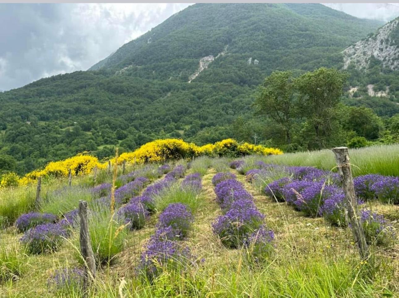 Mariella Vernile Civitella Roveto Exteriér fotografie